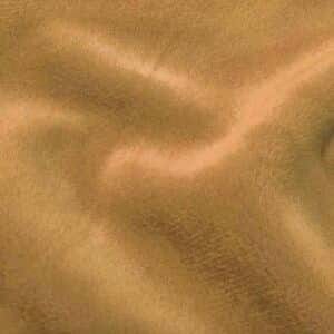 Minky camel